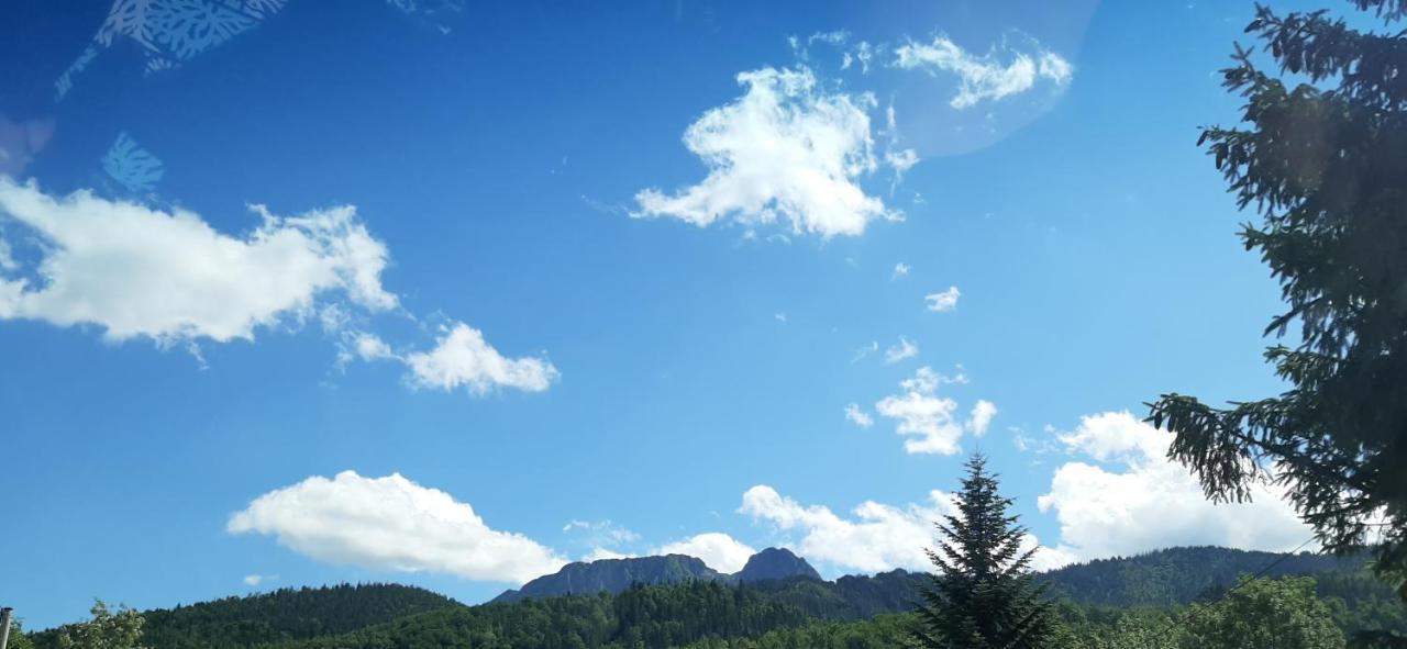Czarne Jagody Daire Kościelisko Dış mekan fotoğraf